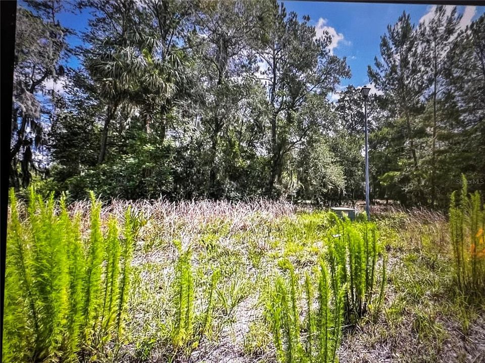 For Sale: $29,900 (0.21 acres)