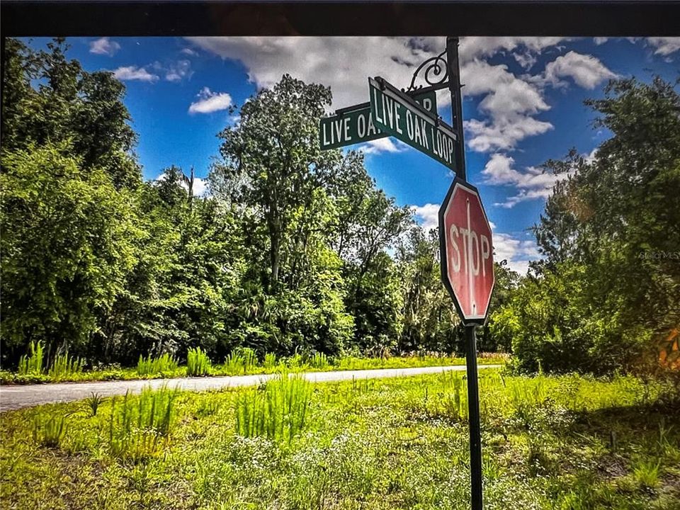 For Sale: $29,900 (0.21 acres)