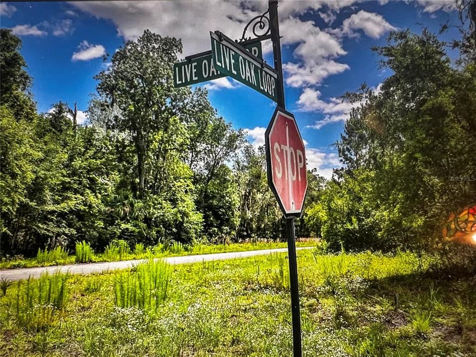 For Sale: $29,900 (0.21 acres)