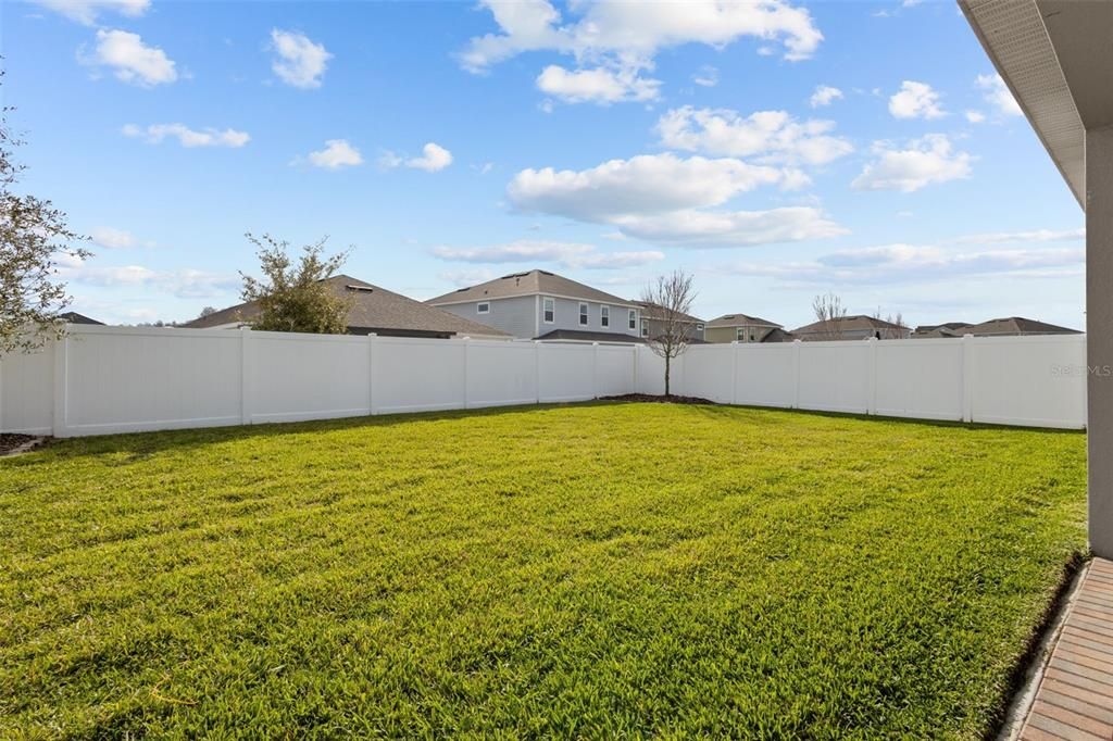 Fenced-in backyard