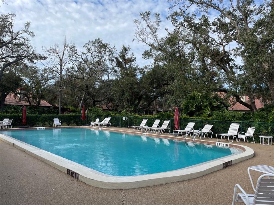 Hammocks IV community pool.