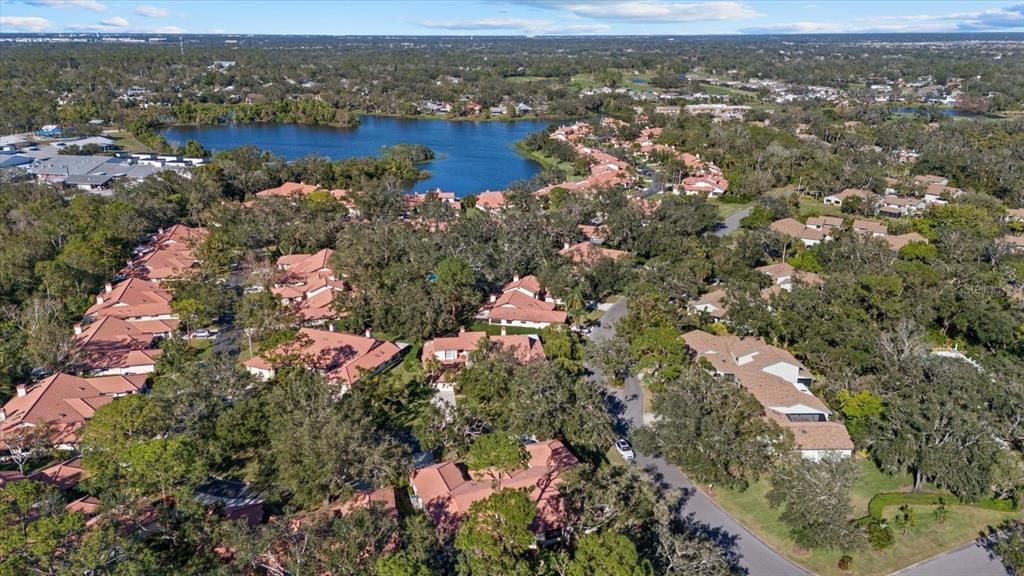 Aerial view of the Hammocks IV neighborhood with community pool a short distance away.