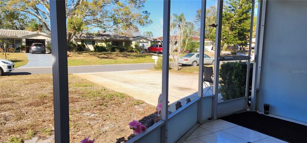 Looking out from porch