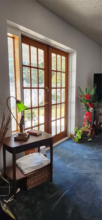 French doors in family room leading out to patio