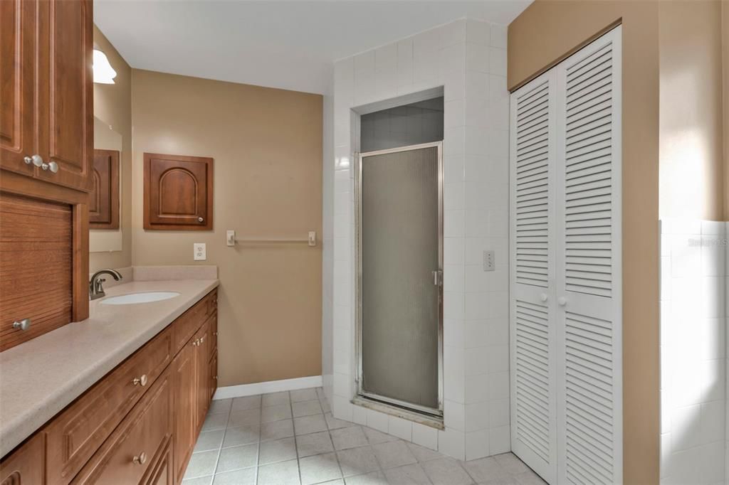 Step in Shower and linen closet