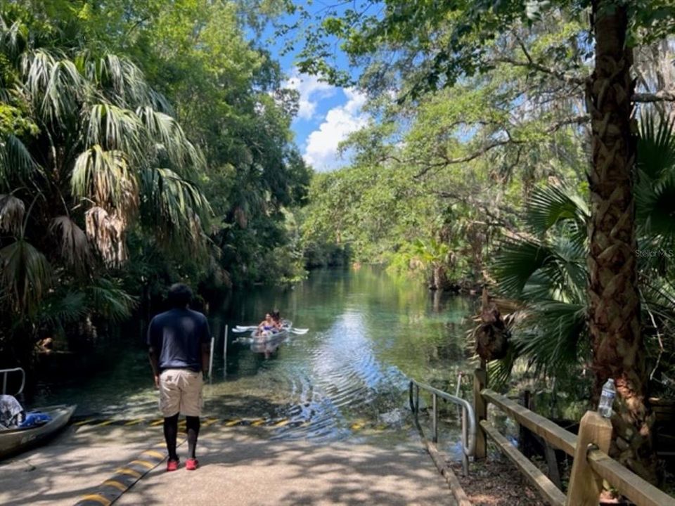 Silver Springs State Park