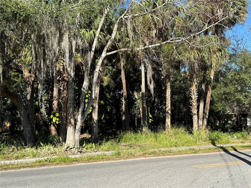 Recently Sold: $45,000 (0.15 acres)