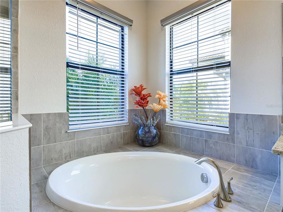 Soaking Tub in Primary Bathroom