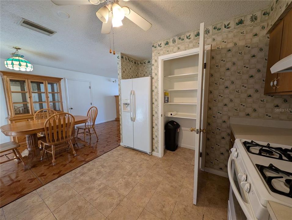 BIG PANTRY AND SIDE BY SIDE REFRIGERATOR