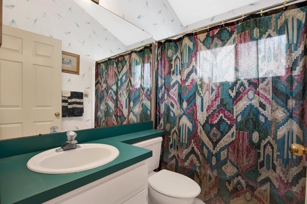 Guest bathroom