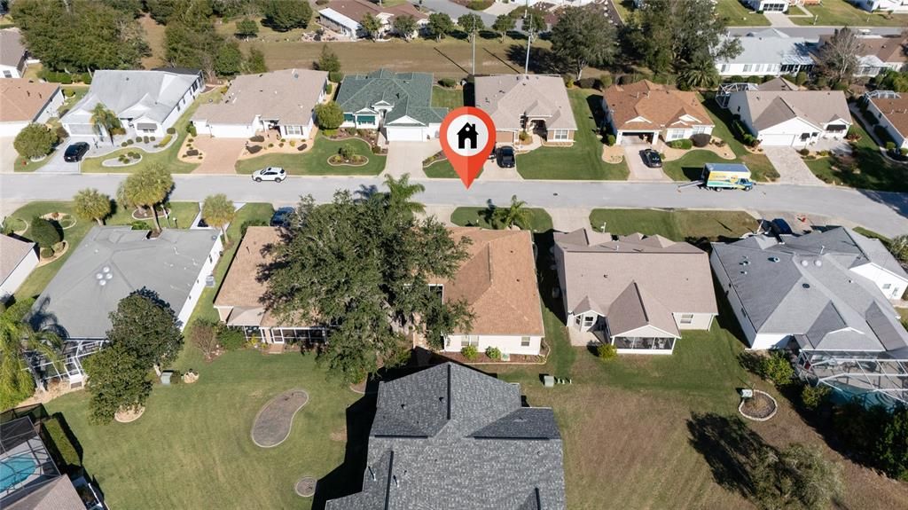 Arial view of street and back of home with large tree.