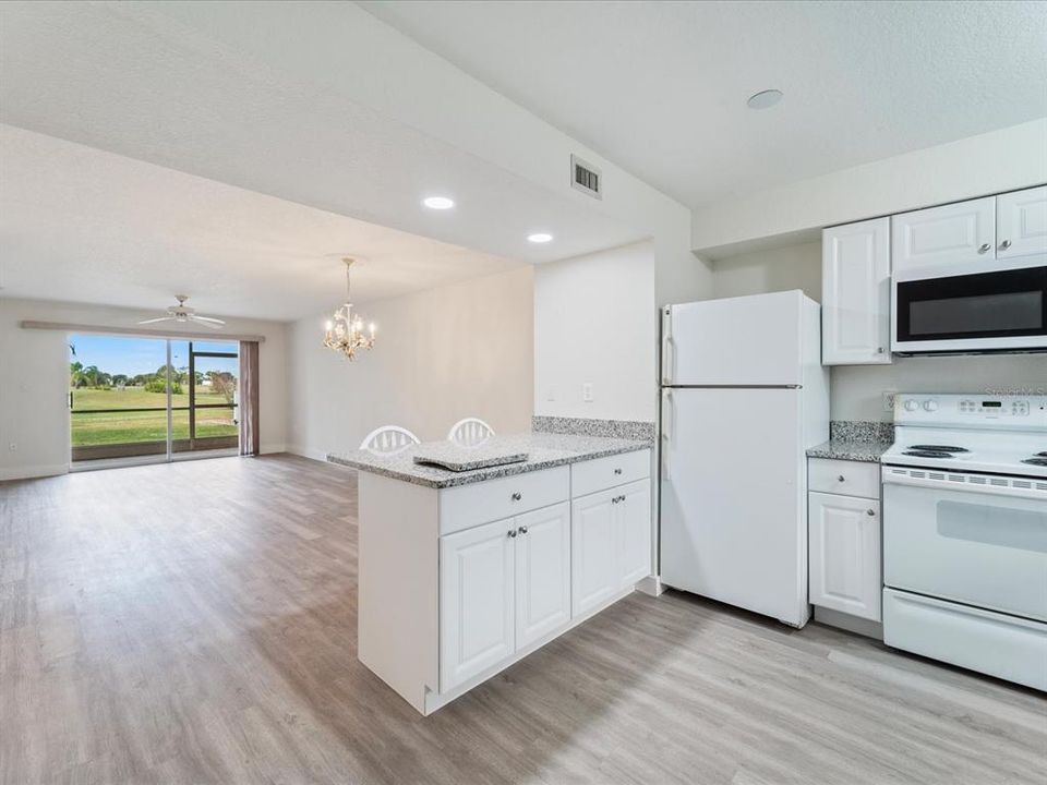 Kitchen/Dining Room/Living Room