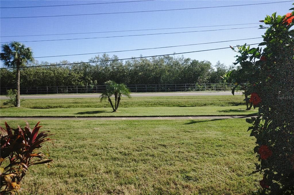 View From Patio