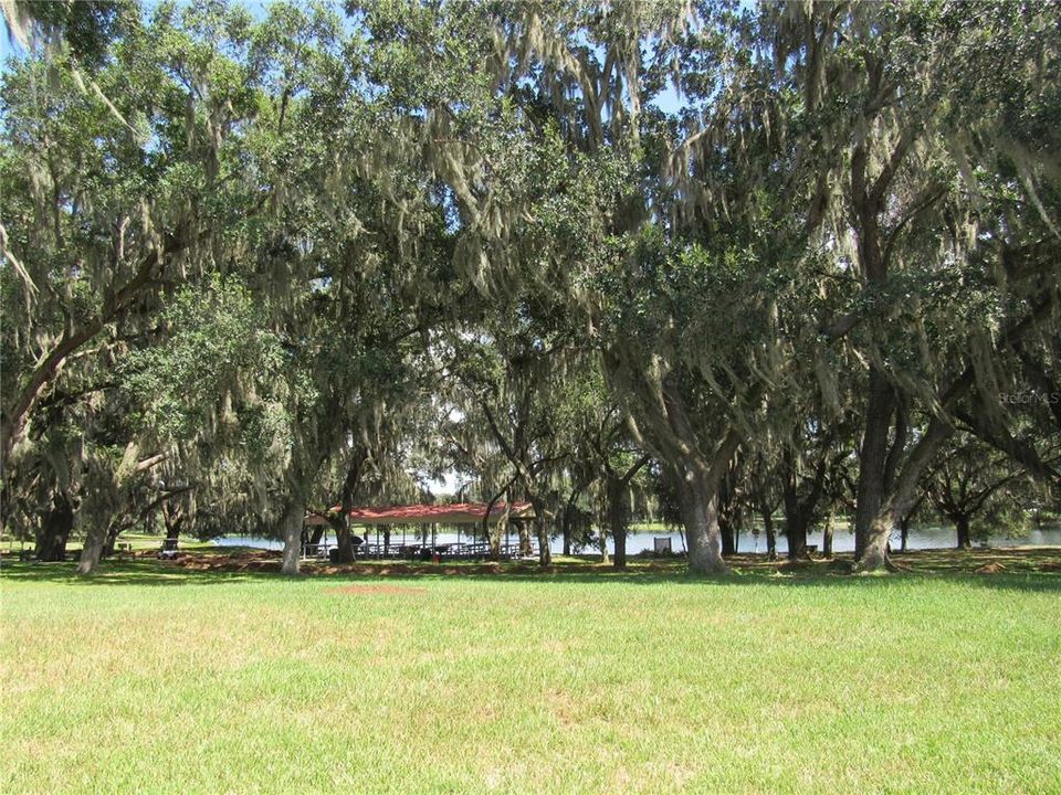 Pavilion by lake