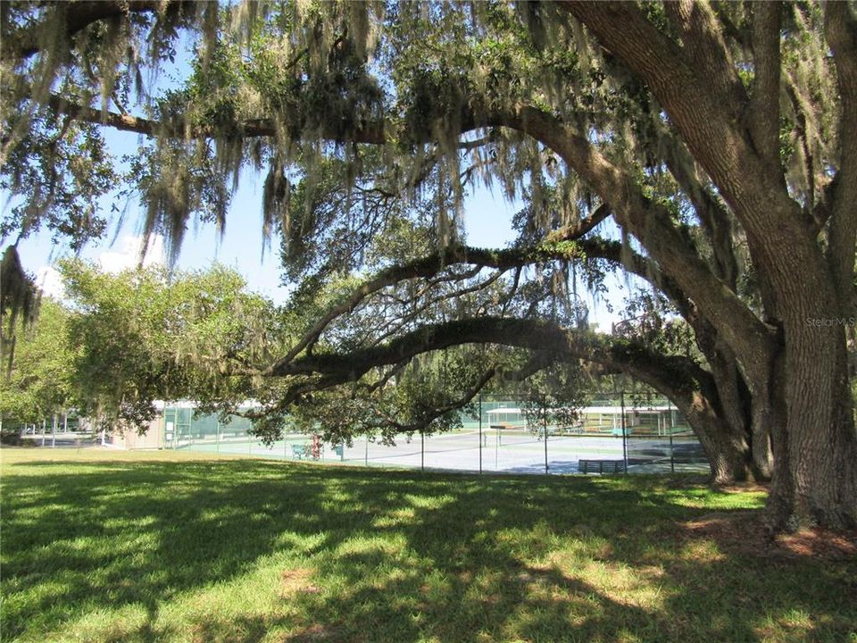 Outdoor pickleball courts