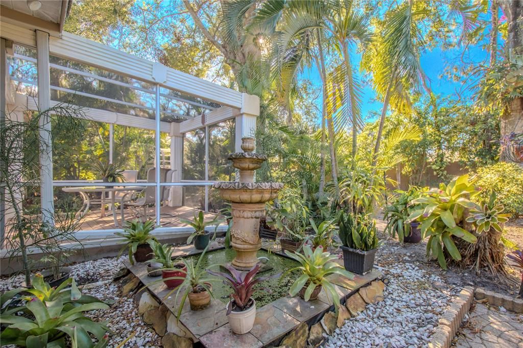 Backyard fountain.