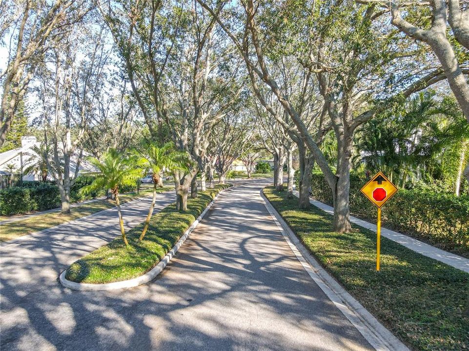 Shaded canopy leading through the neighborhood