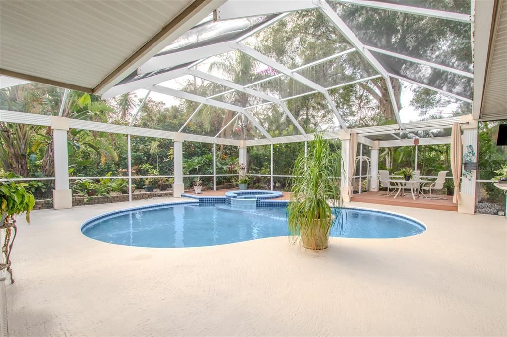 The screened in lanai features a water and spa.