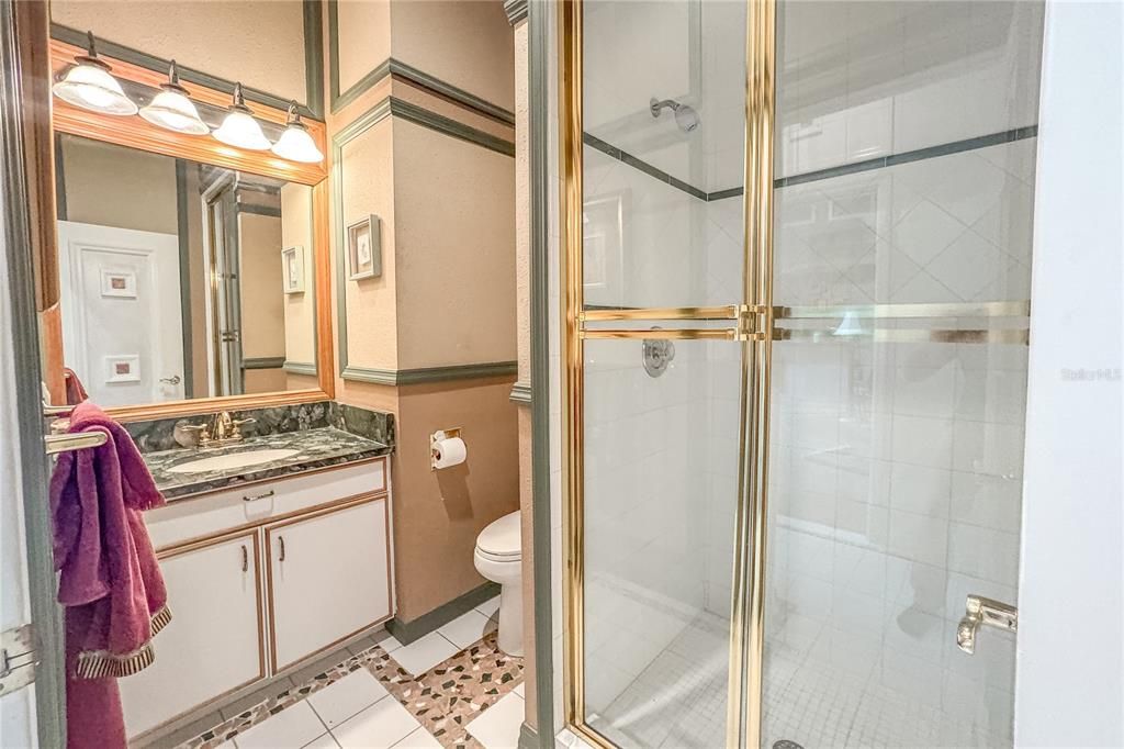 Bathroom 4 is adjacent to the bonus and family rooms. It features a walk-in shower, and a mirrored vanity with storage.