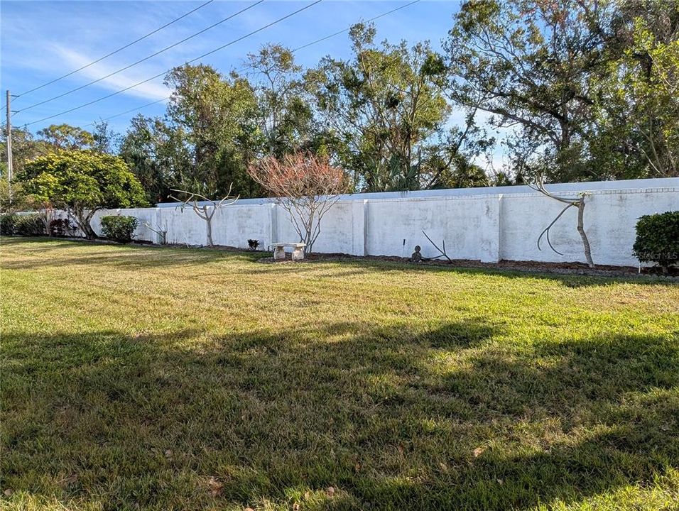 Backyard. Wall is maintained by the association.