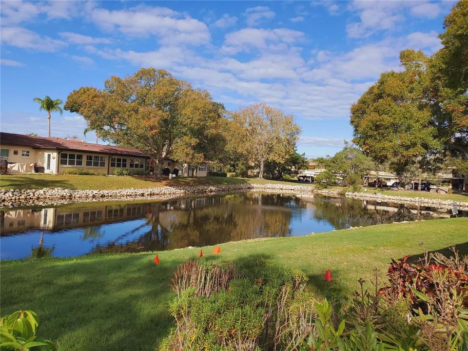 Looking pond by the entrance