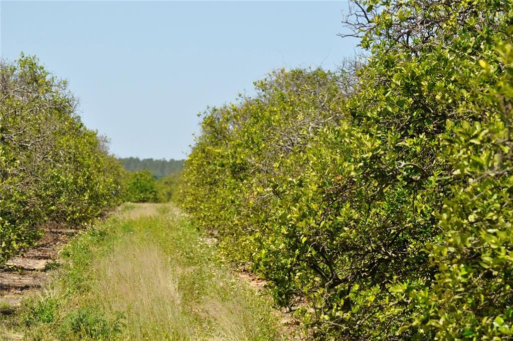 На продажу: $500,000 (9.74 acres)