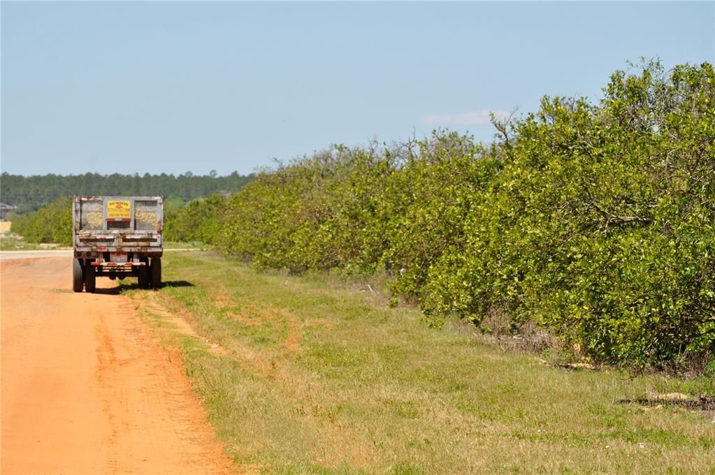 На продажу: $500,000 (9.74 acres)