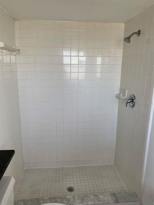 Primary Bathroom Shower