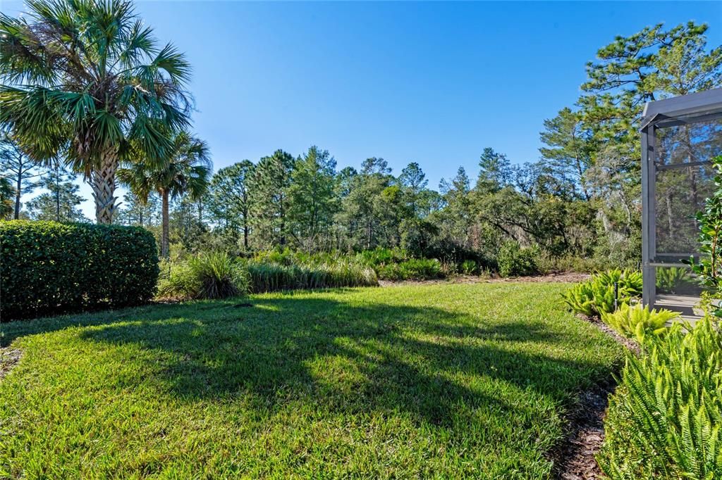 Backyard & Conservation area view behind home