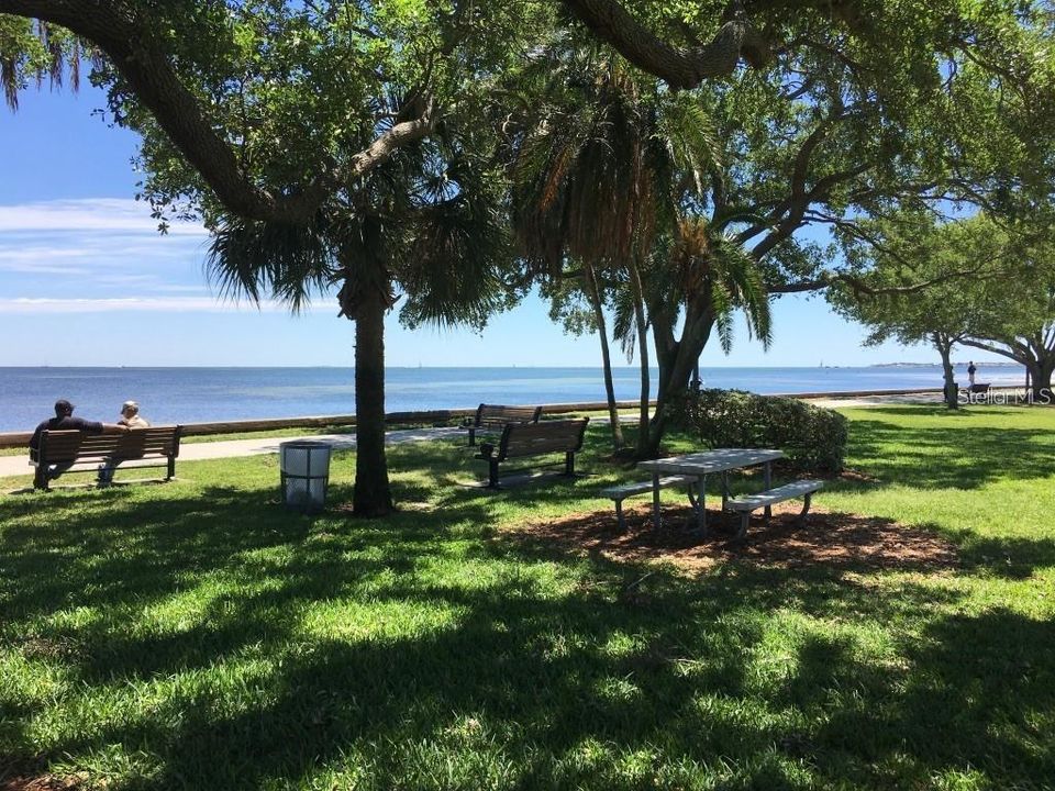 One of the best spots in town to hang a hammock and soak in the sun and waterviews