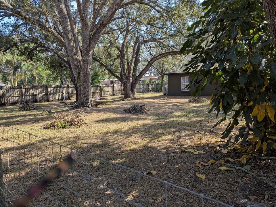 front yard