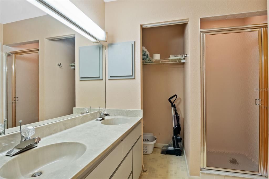 Master Suite bathroom area -2 with Separate Tub and Shower