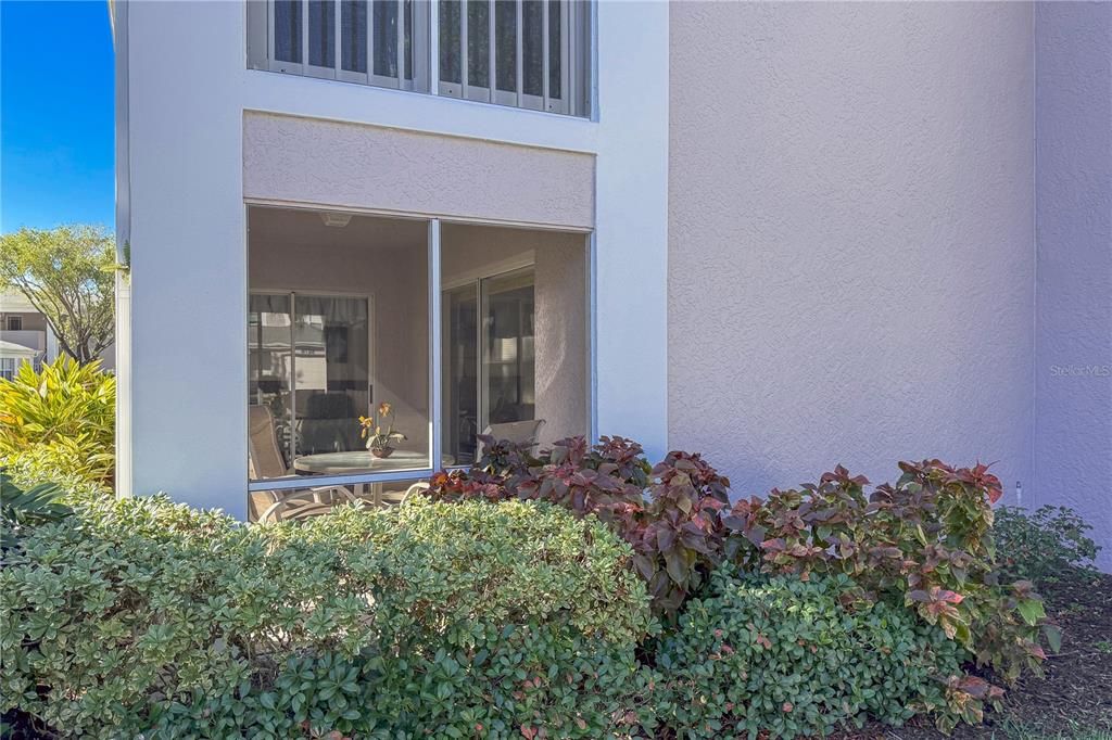 Exterior view of the back patio