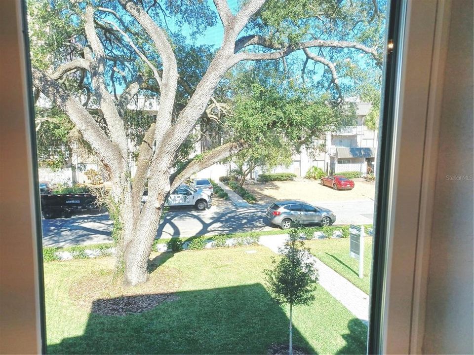 Upstairs view of garden