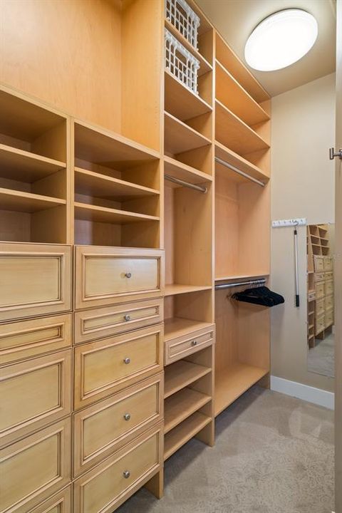 California closet with built-ins.