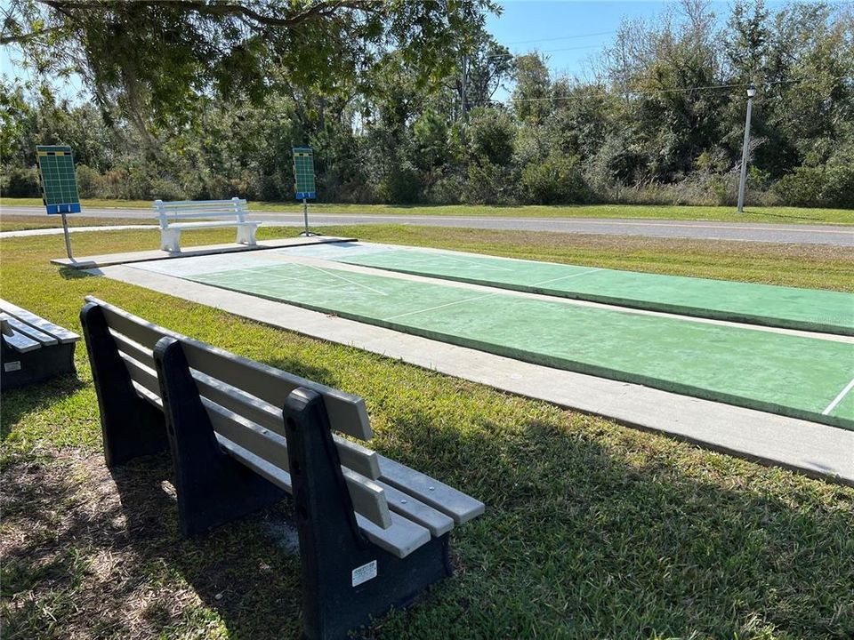 Shuffleboard