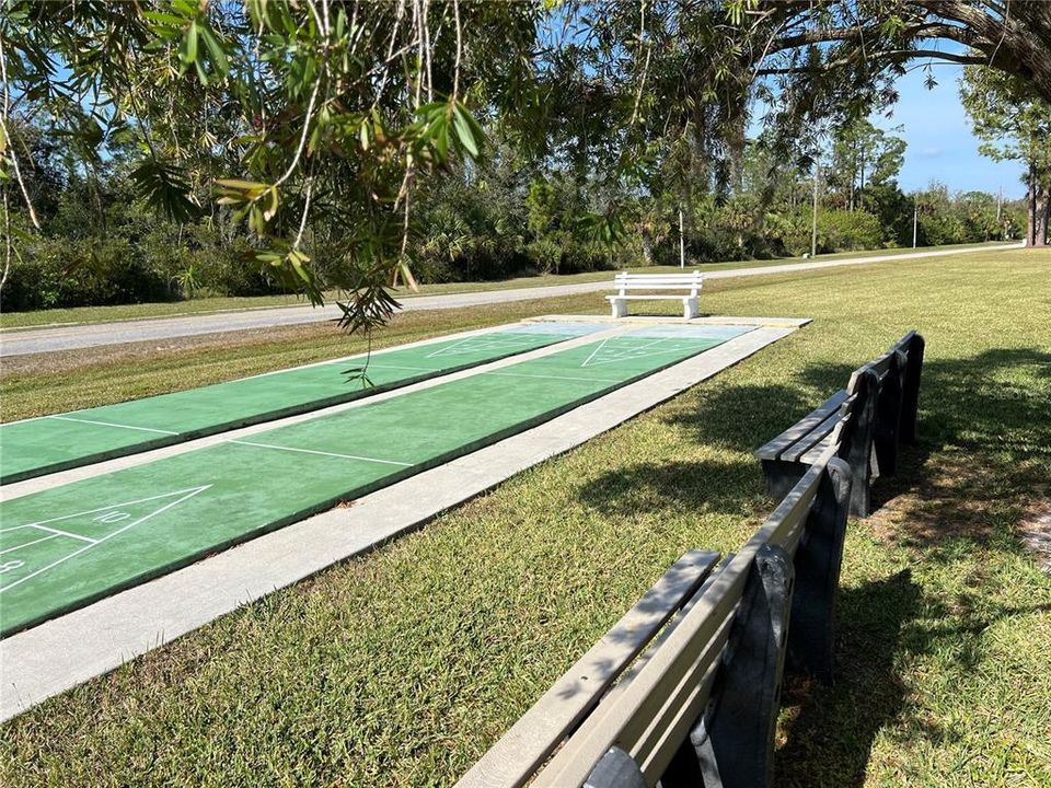 Shuffleboard