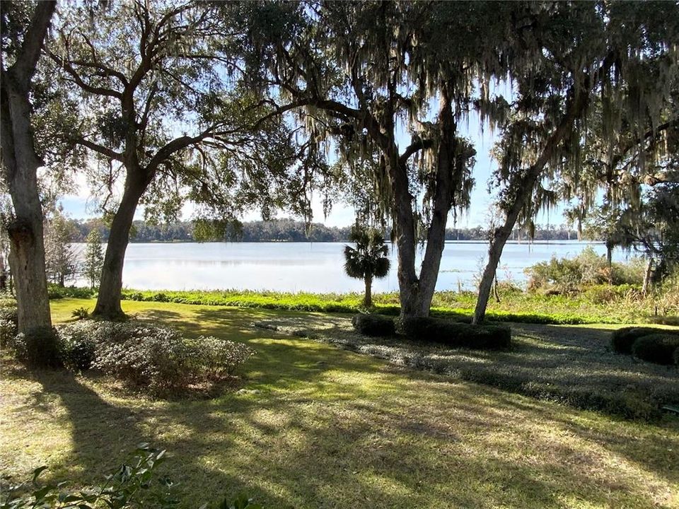 Lake Front Condo View