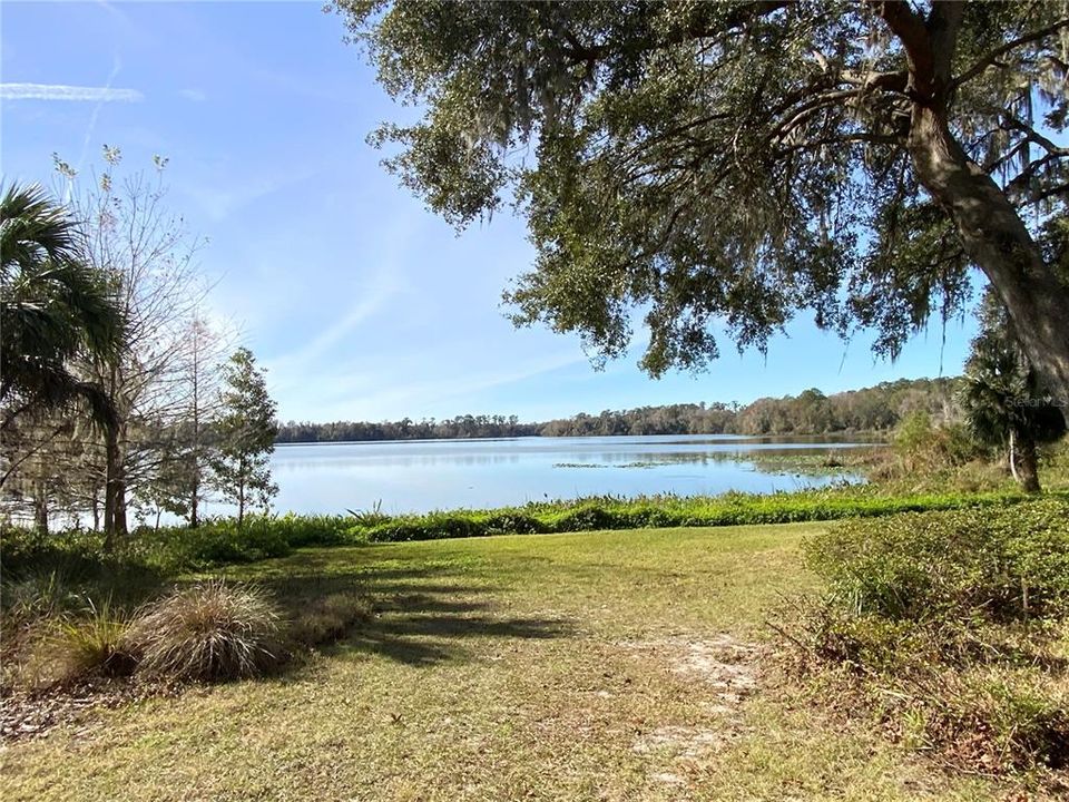 Beautiful Lake Bivens Arm