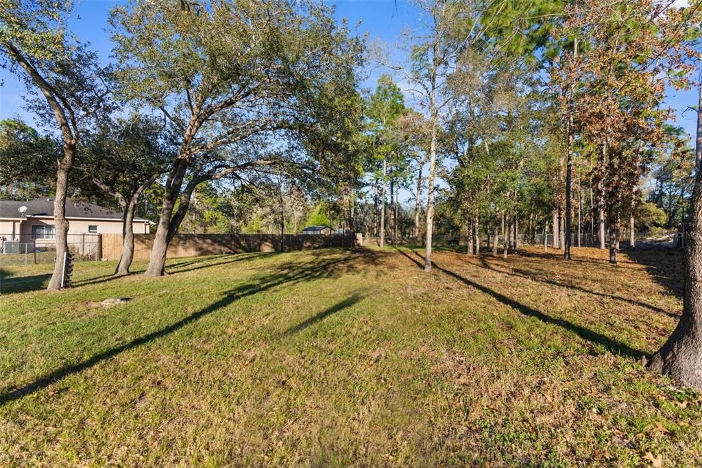 HUGE Backyard