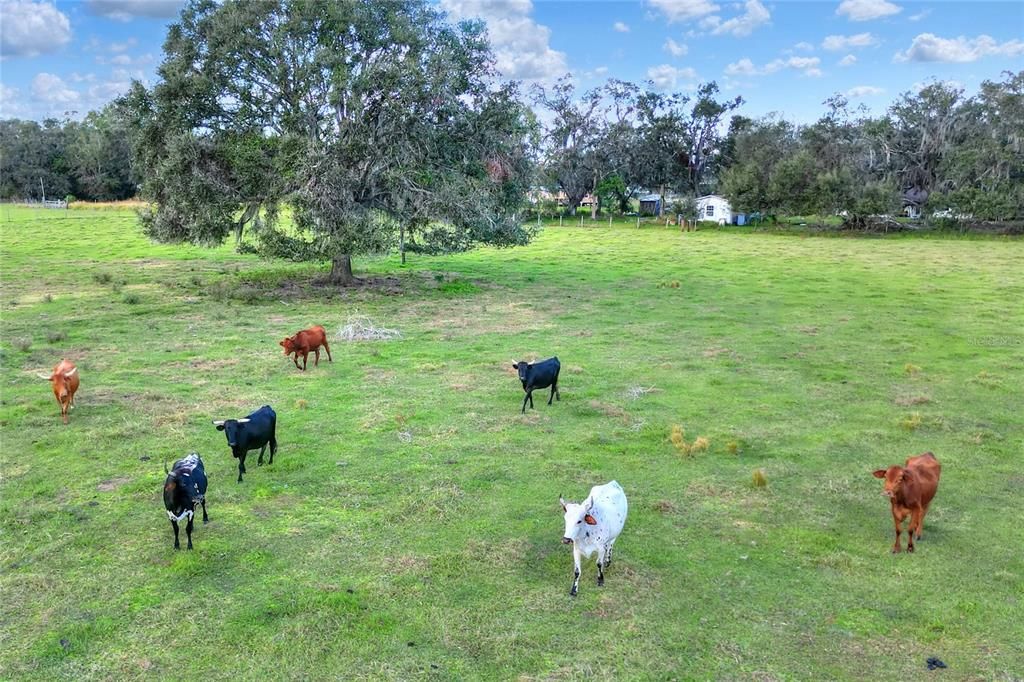 最近售出: $350,000 (5.05 acres)