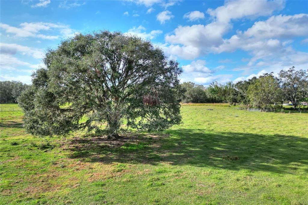 Vendido Recientemente: $350,000 (5.05 acres)