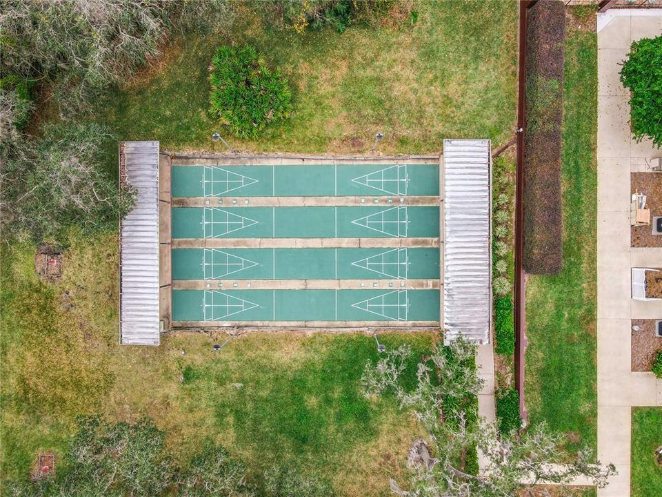 Shuffleboard