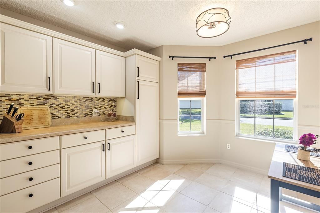 SO MUCH COUNTER AND CABINET SPACE WITH CLOSET PANTRY