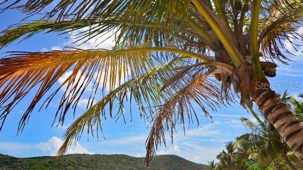 待售: $299,000 (3 贝兹, 1 浴室, 900 平方英尺)