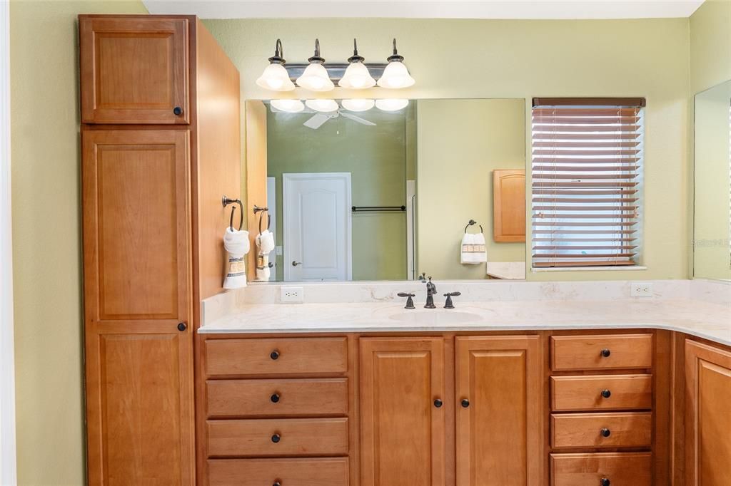 MAIN BATHROOM LINEN CABINETS AND WALK IN CLOSET DOOR