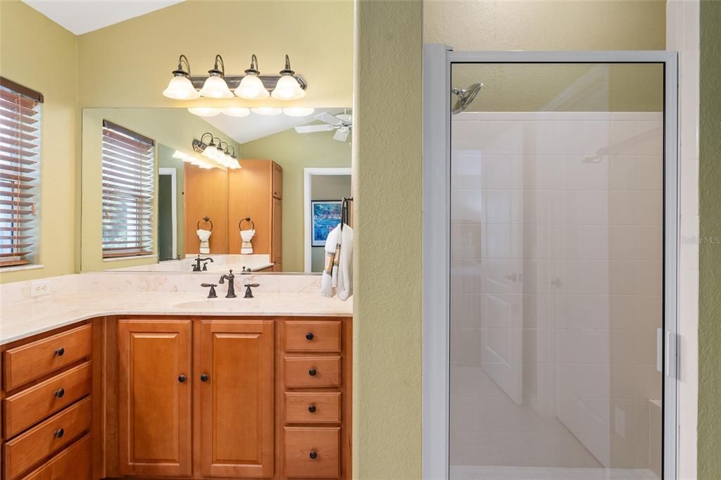 MAIN BATHROOM SHOWER VIEW