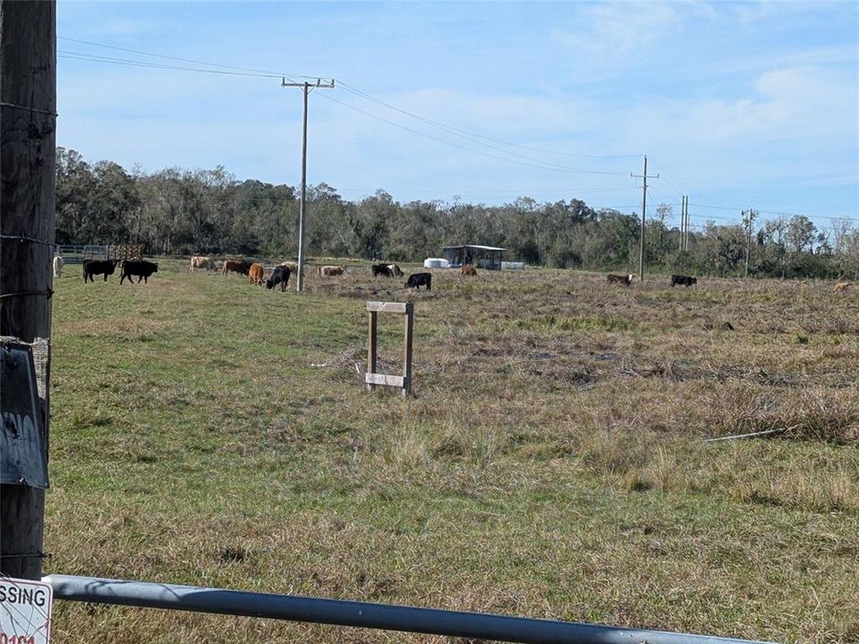 最近售出: $850,000 (30.00 acres)