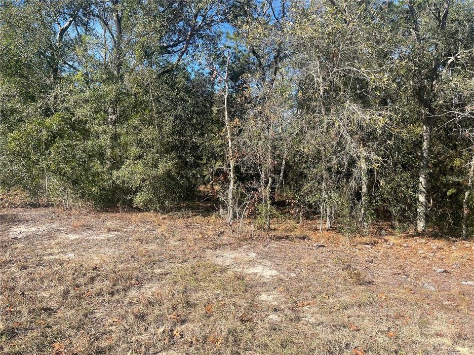 Recently Sold: $18,500 (0.23 acres)