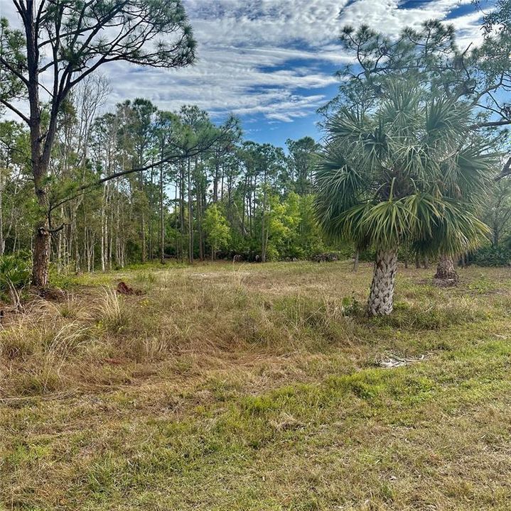 For Sale: $29,900 (0.19 acres)